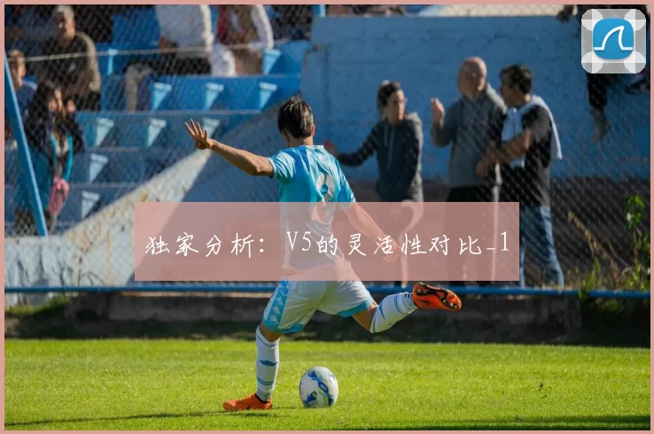 独家分析：V5的灵活性对比_1