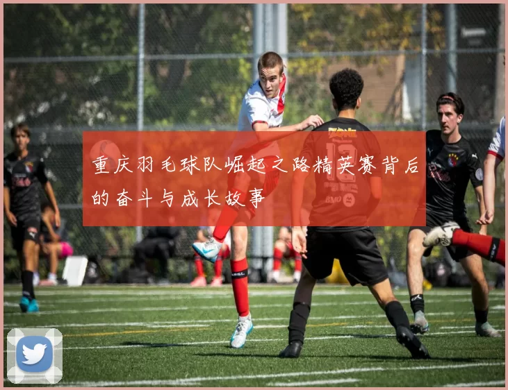 重庆羽毛球队崛起之路精英赛背后的奋斗与成长故事