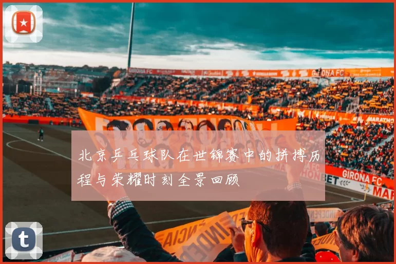 北京乒乓球队在世锦赛中的拼搏历程与荣耀时刻全景回顾