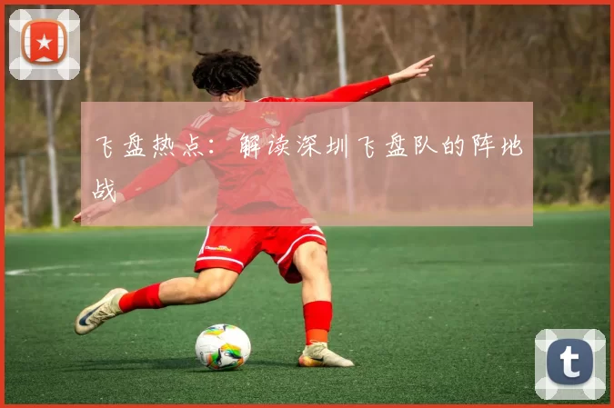 飞盘热点：解读深圳飞盘队的阵地战