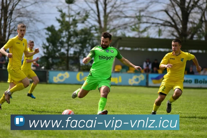 九游体育服务体系